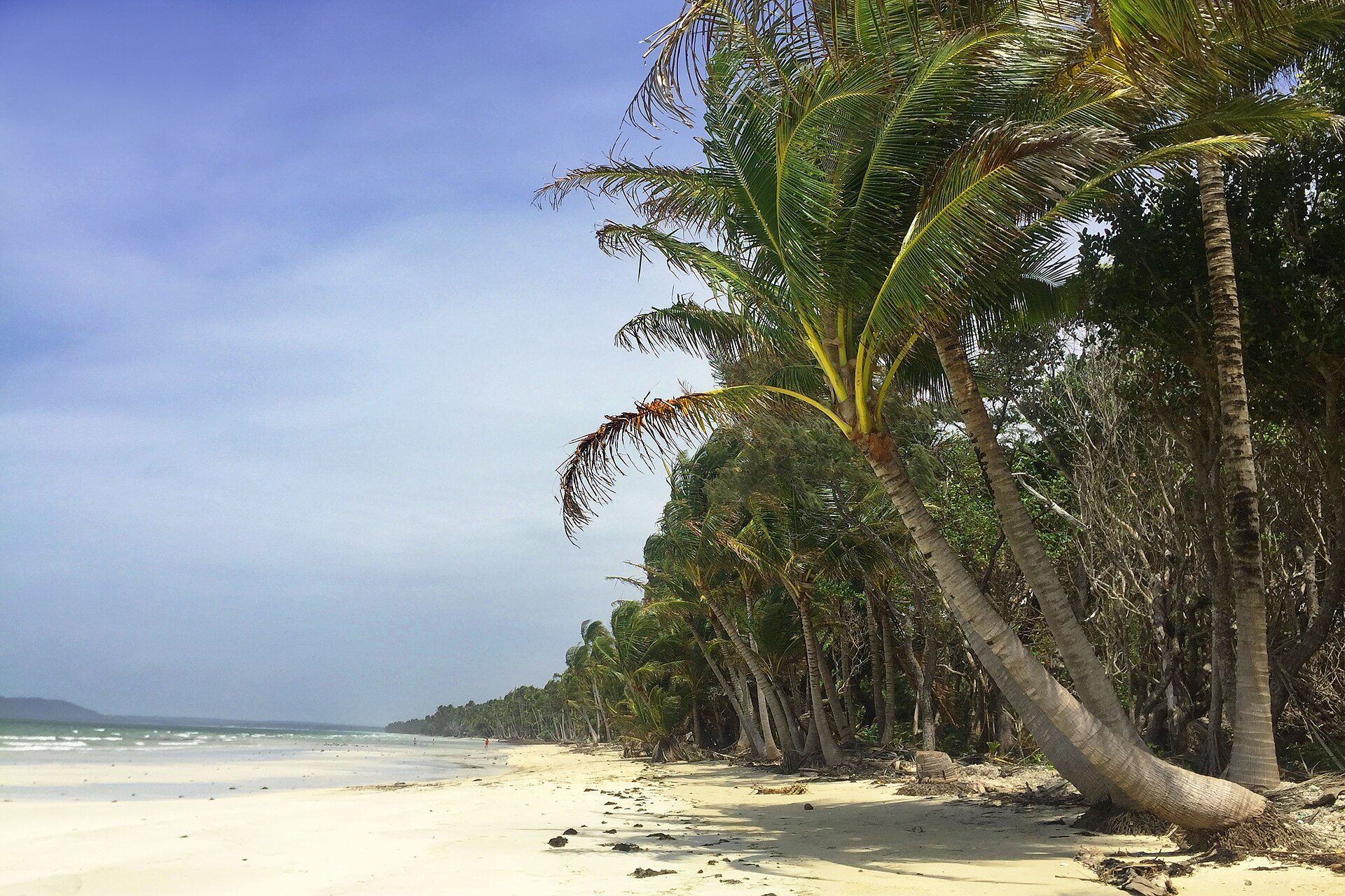 Cape York Peninsula — photo 1