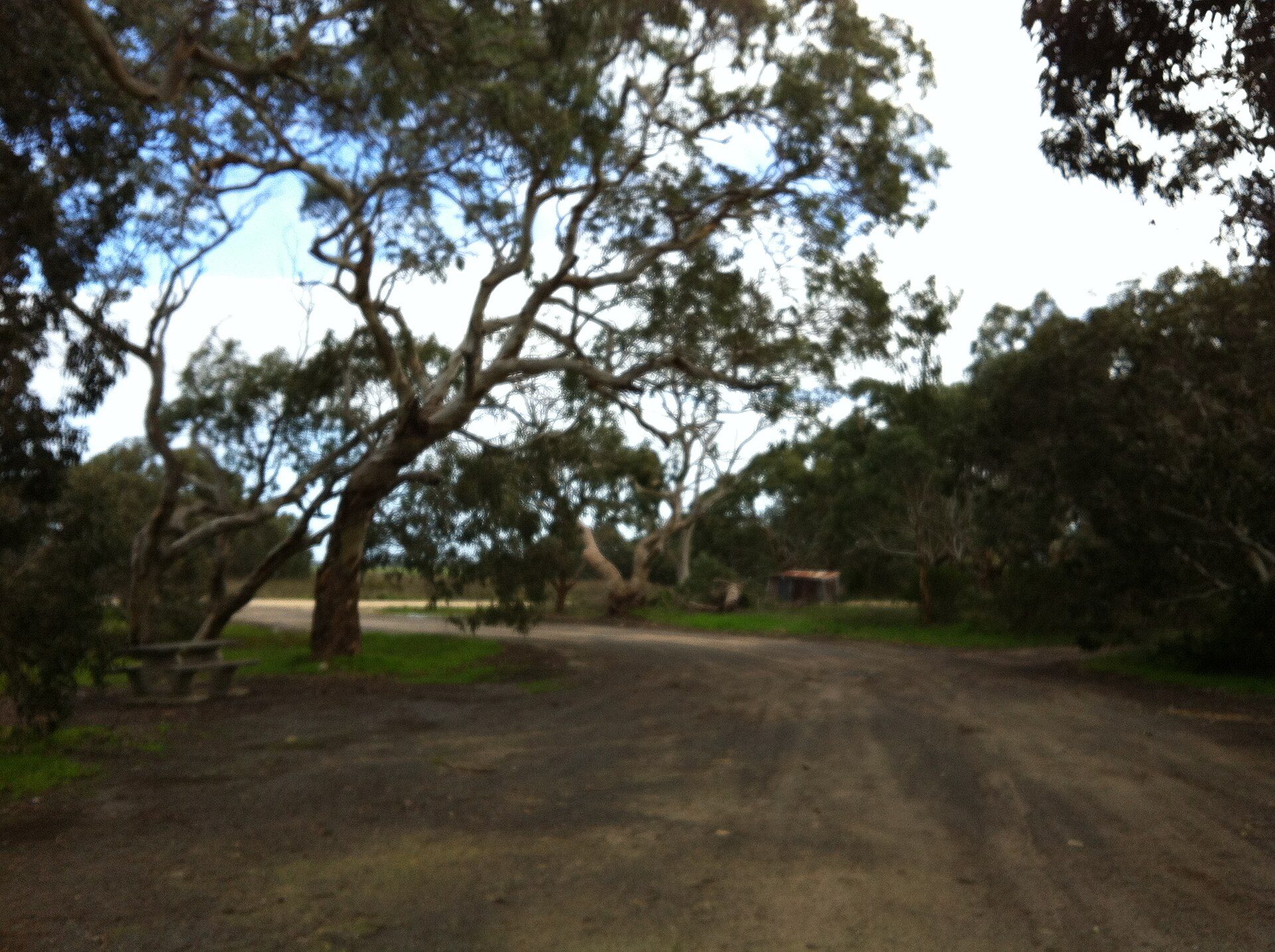 Murrabina Road Rest Area — Kingston SE, SA