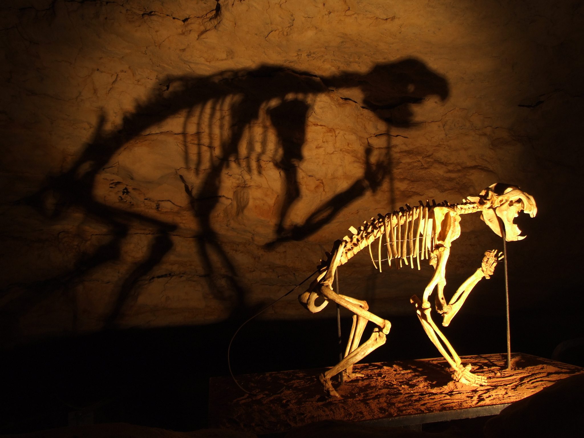 Naracoorte Caves - Image 2