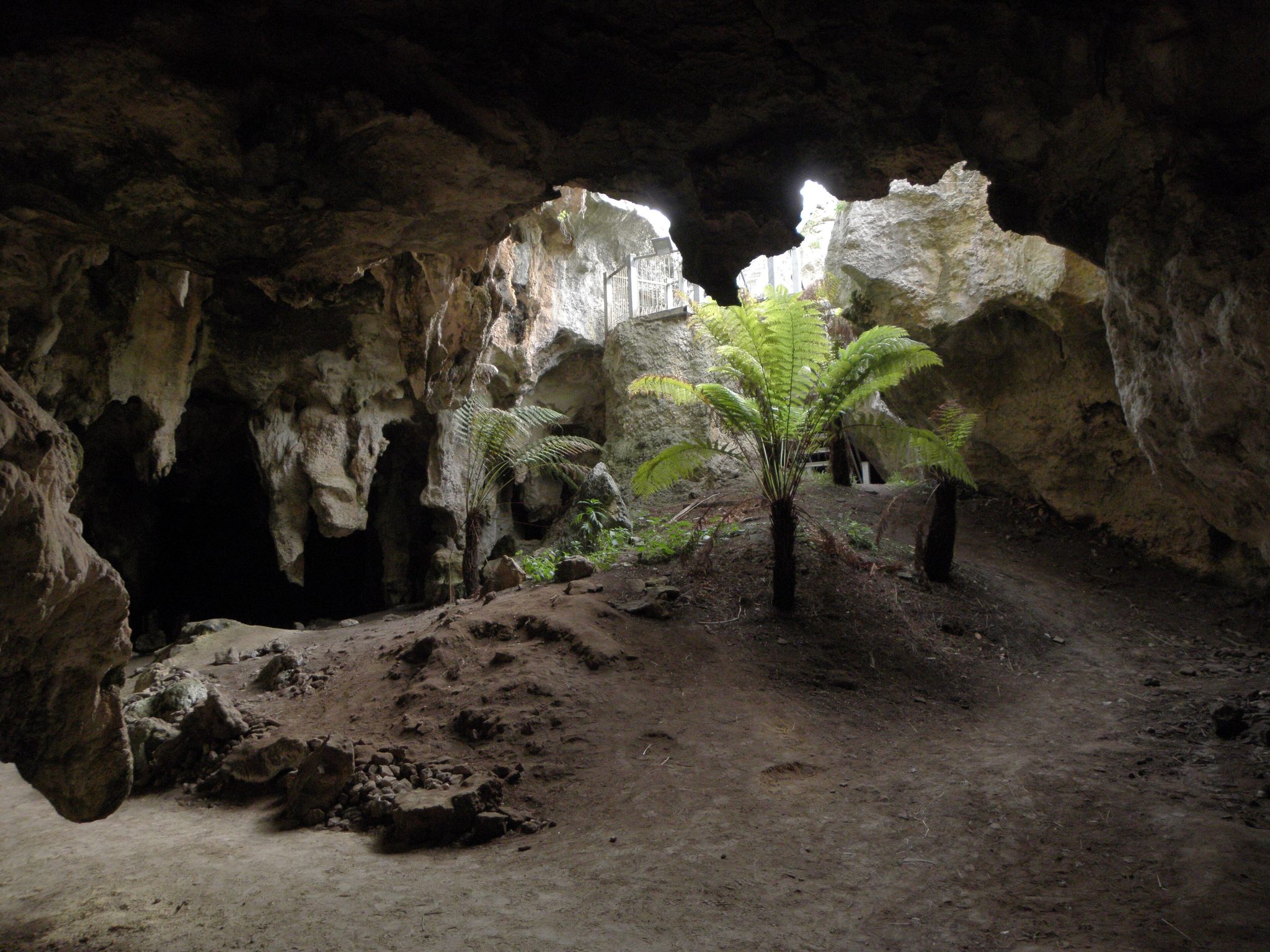 Naracoorte Caves