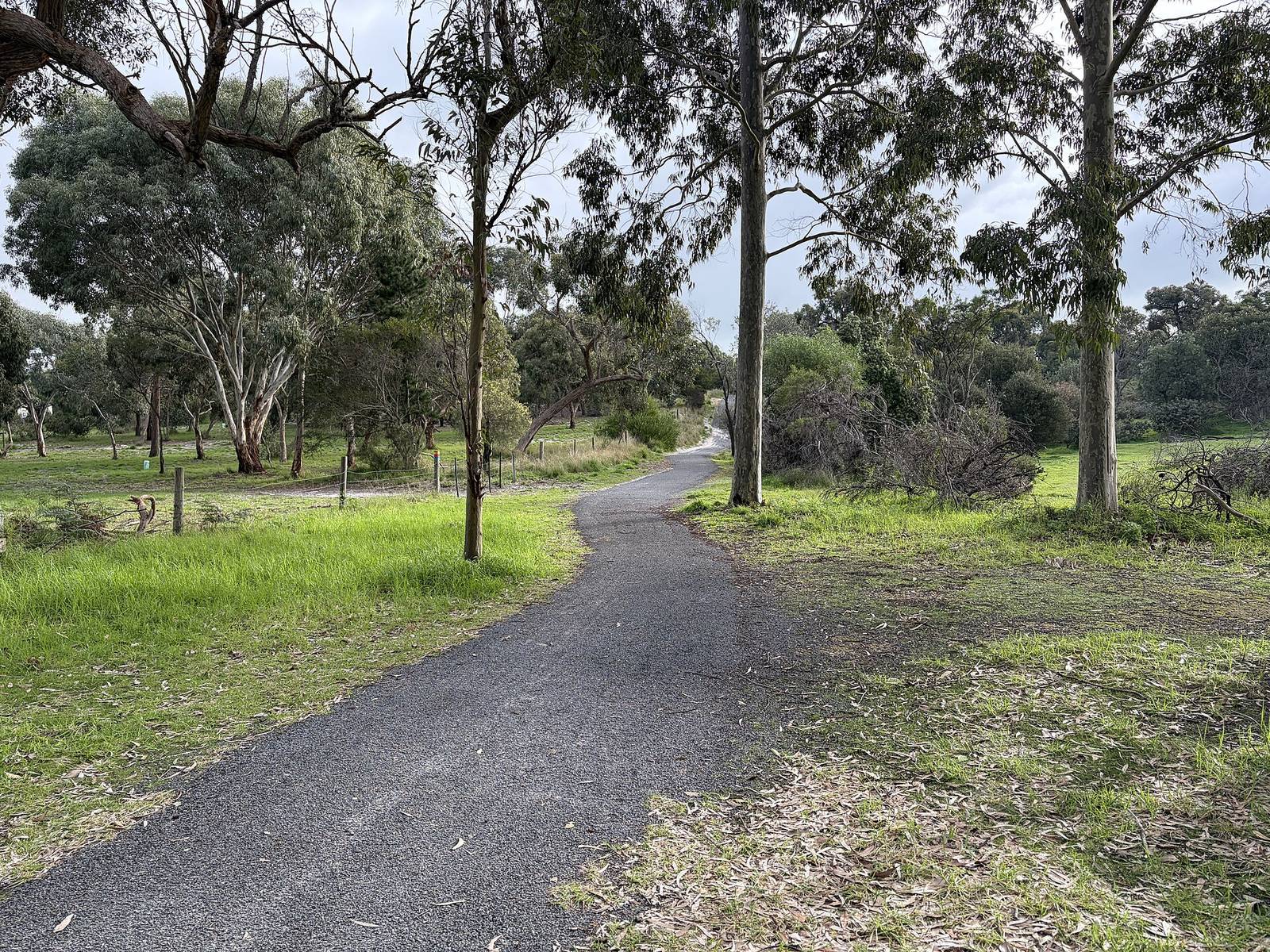 Great Ocean Road — photo 1