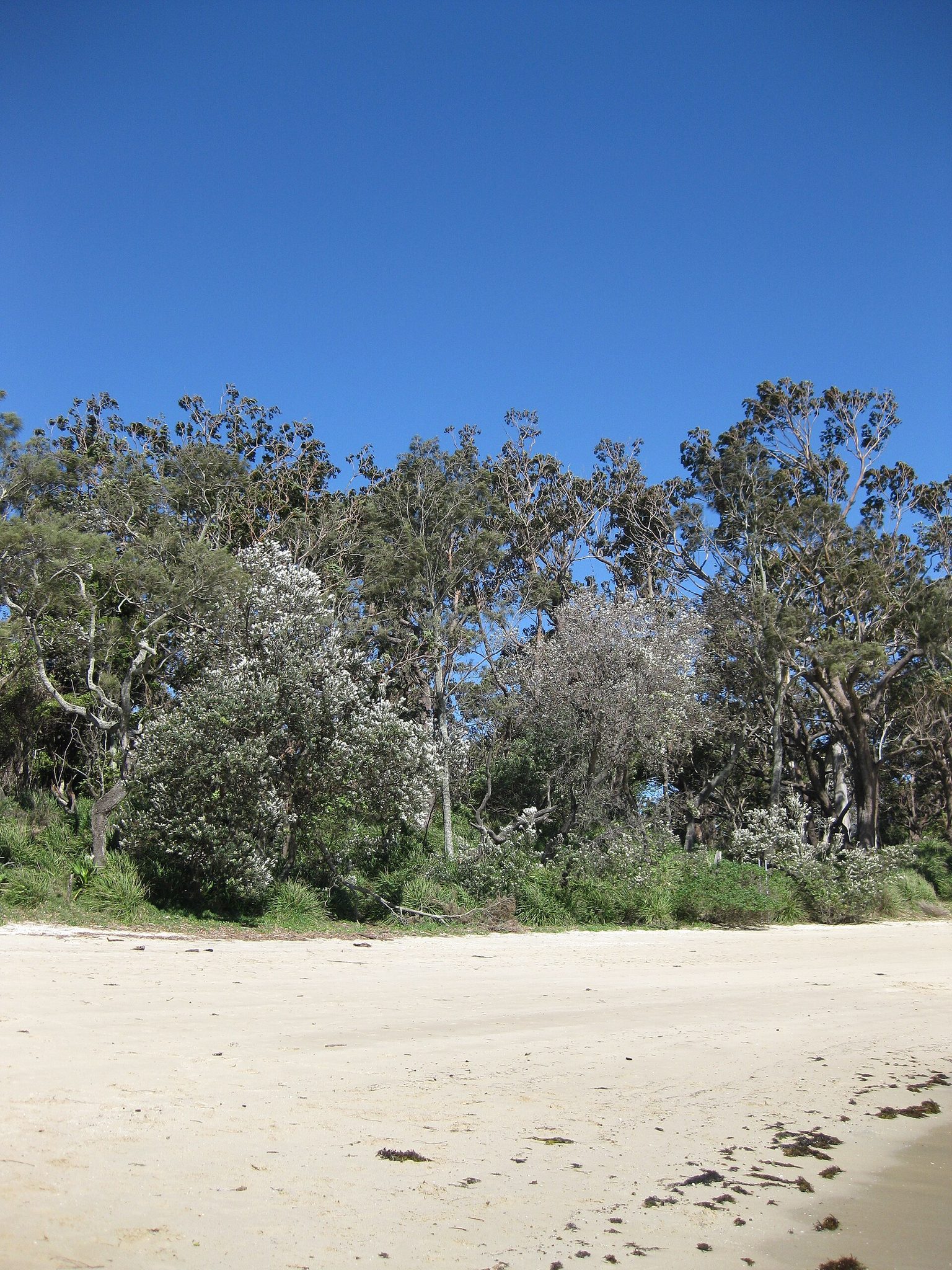 Honeymoon Bay and Bindijine Beach