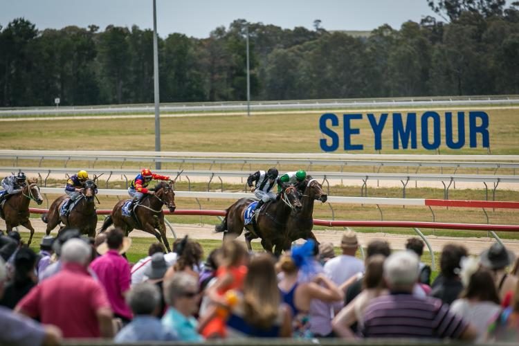 BIG4 Seymour Holiday Park - Image 2