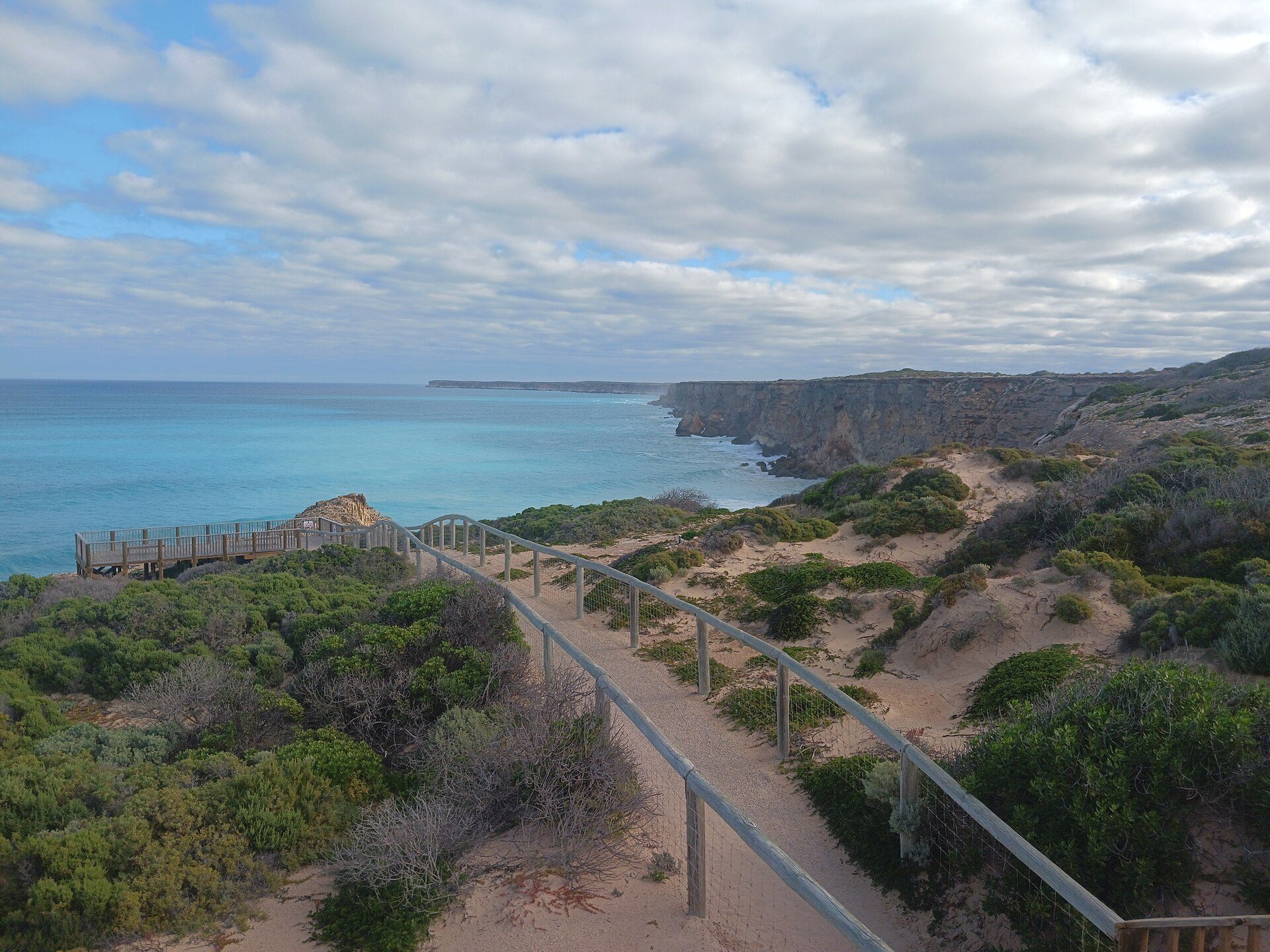 Head of Bight Whale Watching