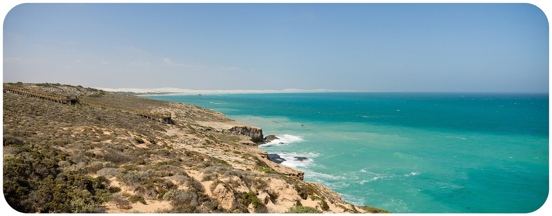 Head of Bight Whale Watching