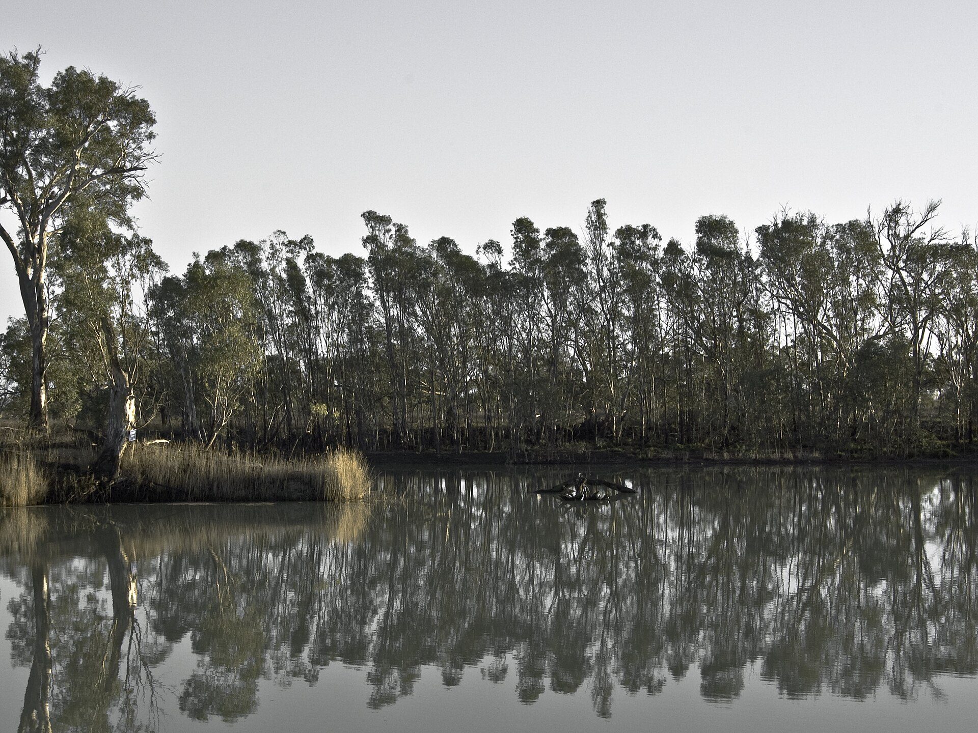 Rilli Reserve — Loxton North, SA