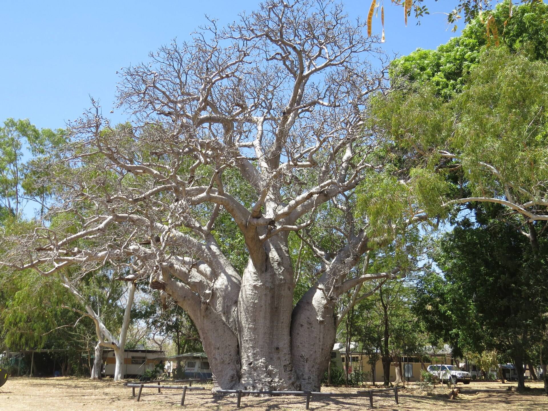 Gibb River Road — photo 1