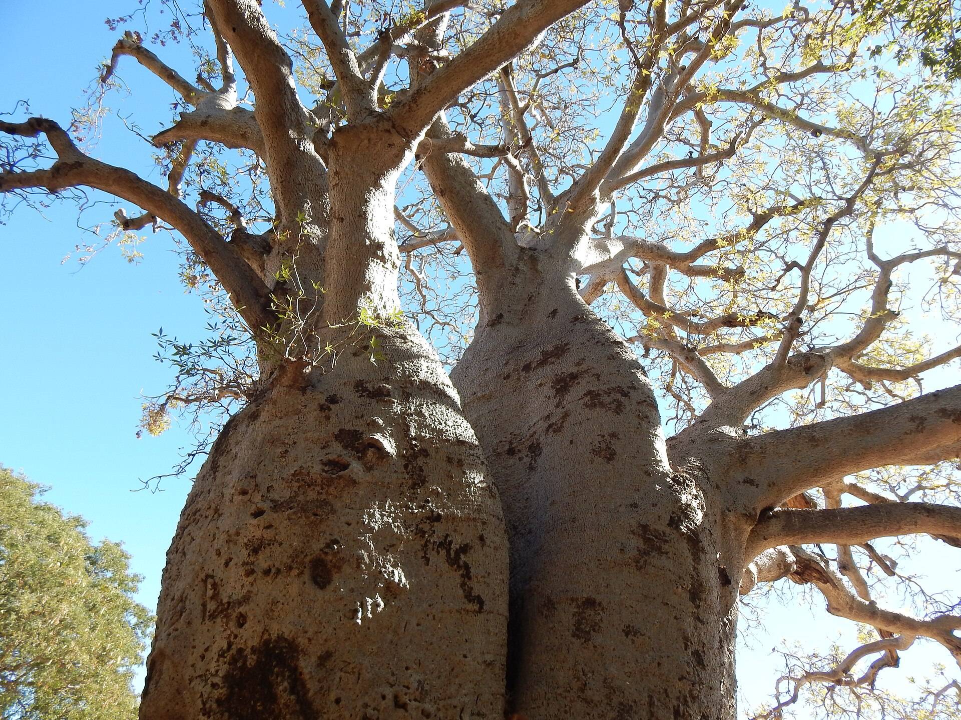 Savannah Way — photo 1