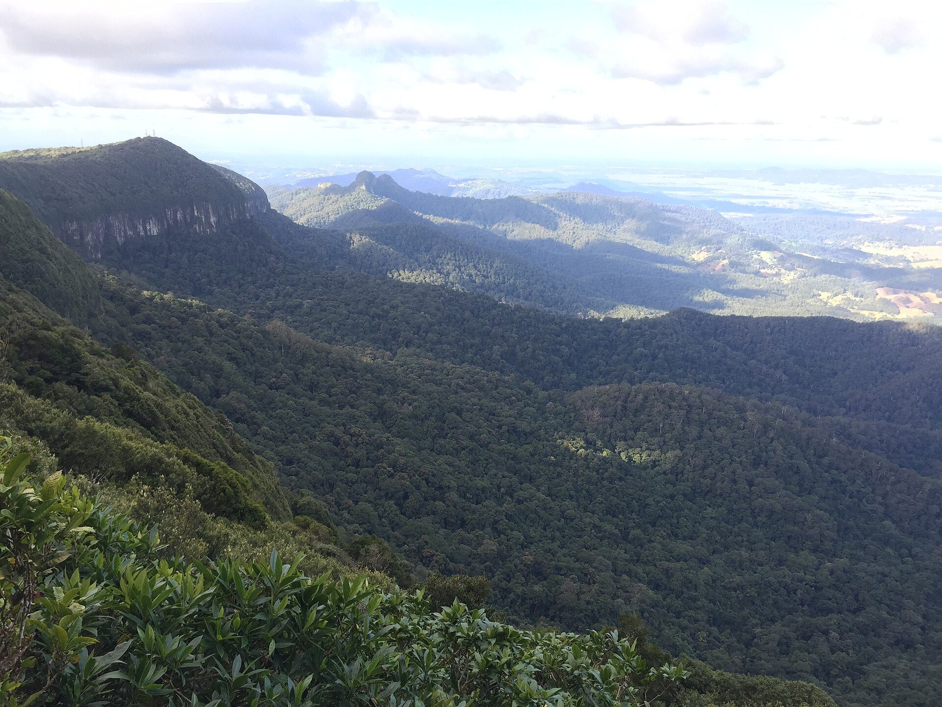 Best of All Lookout — Springbrook, QLD