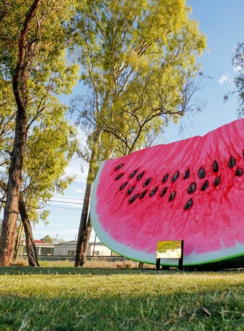 Chinchilla Tourist Park - Image 3
