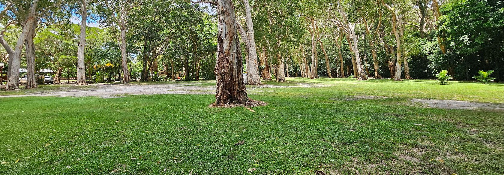 Cooktown Peninsula Caravan Park - Main image