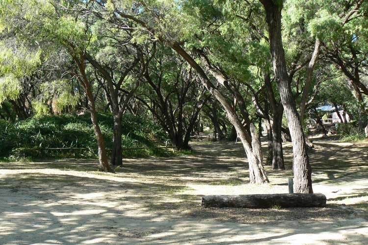 Hamelin Bay Holiday Park — Hamelin Bay, WA