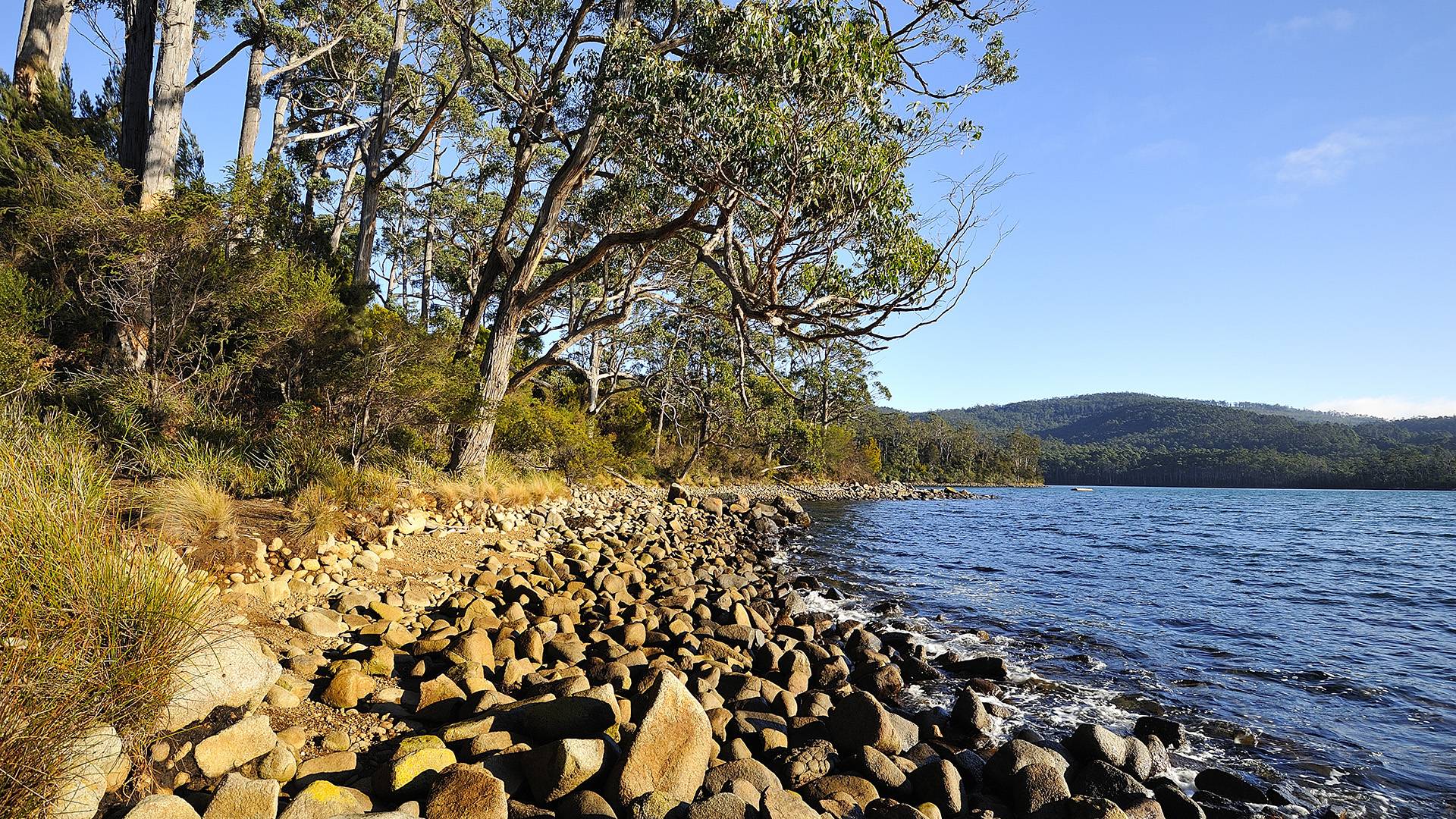 NRMA Port Arthur Holiday Park