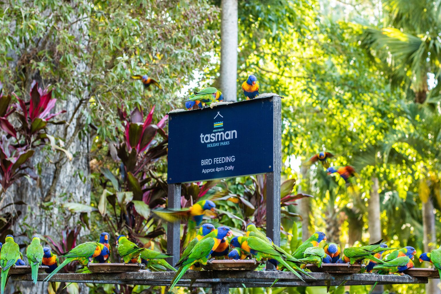 Discovery Parks Airlie Beach