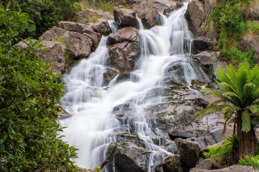 Tasman Holiday Parks St Helens - Image 3