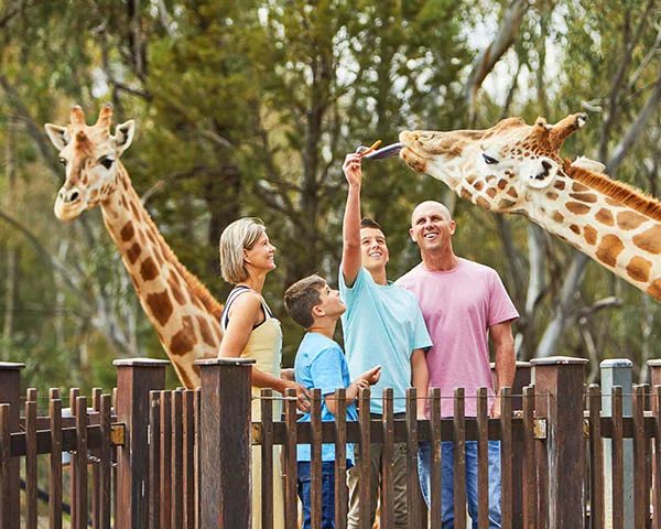 NRMA Dubbo Holiday Park - Image 5