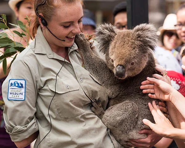 NRMA Ballarat Holiday Park - Image 2