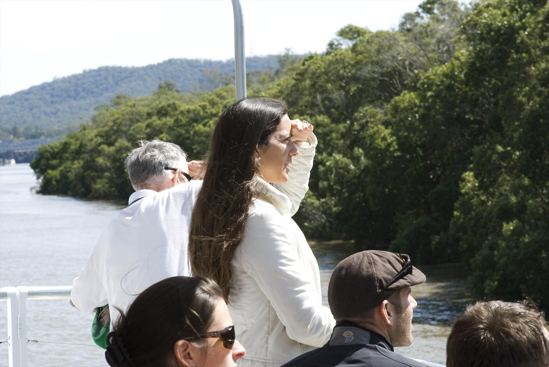 Koala and River Cruises, Petrie Terrace, Queensland, photo 3