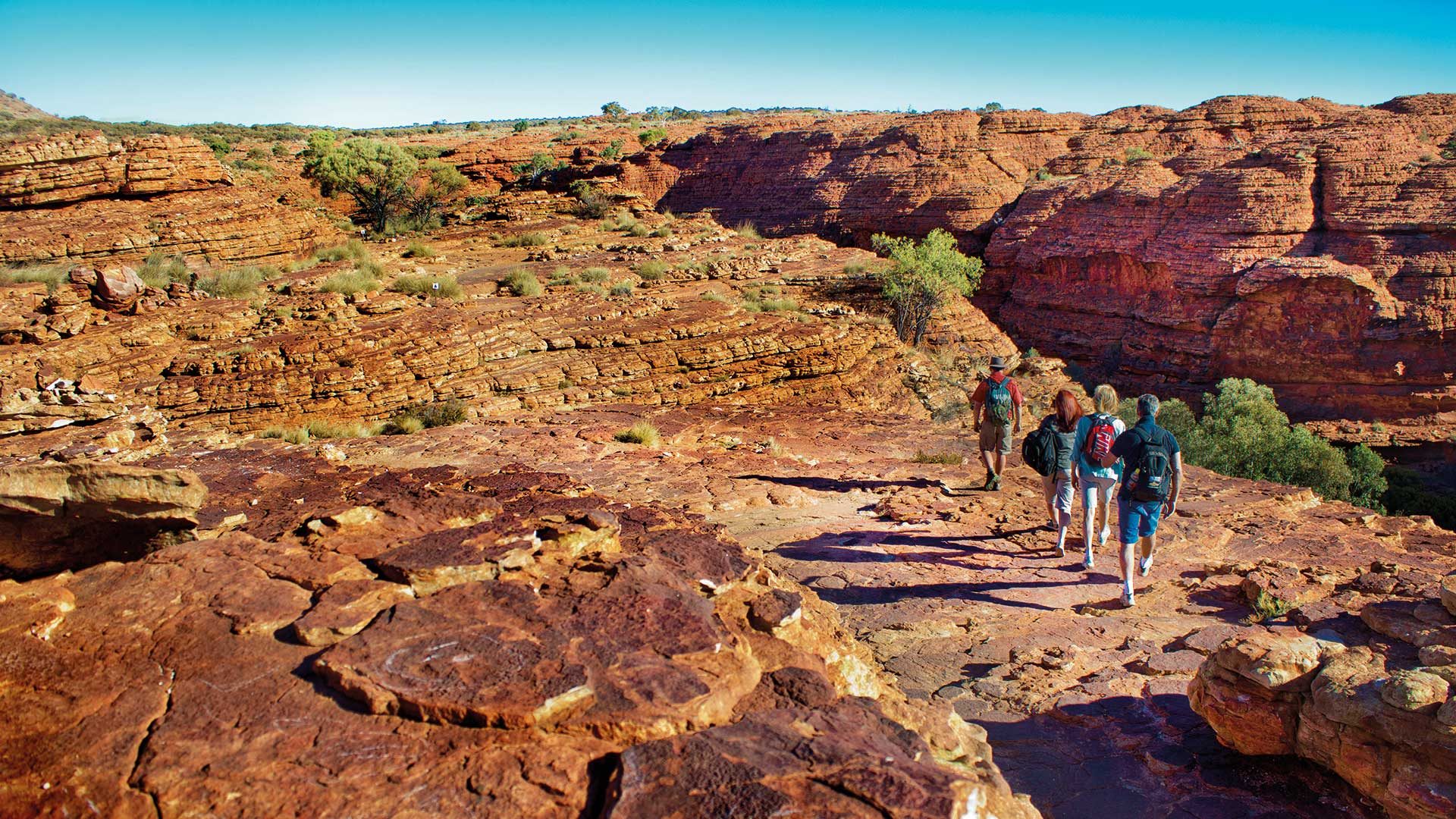 AAT Kings Northern Territory Day Tours, Darwin, Northern Territory, photo 4