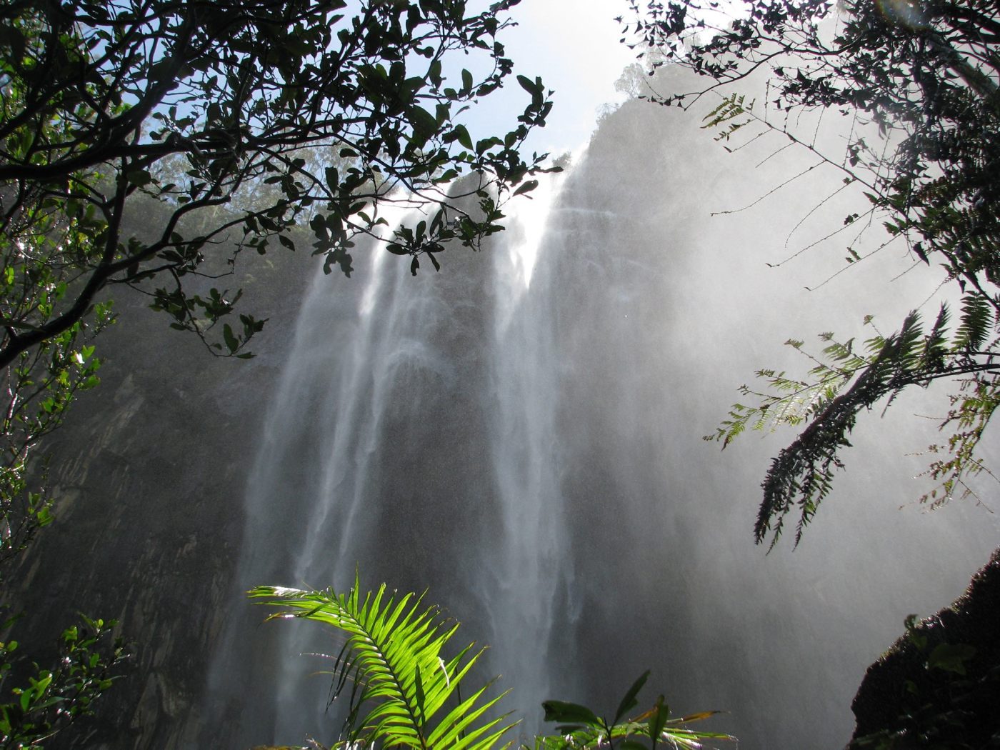 Vision Walks - Eco Tours