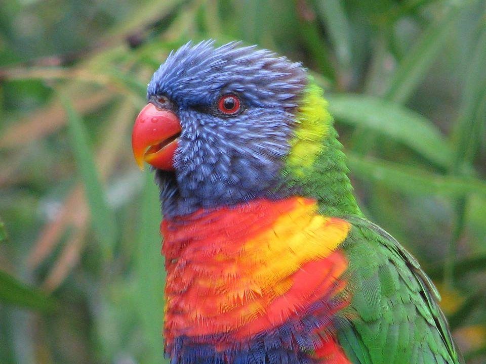 Vision Walks - Eco Tours, Byron Bay, New South Wales, photo 5