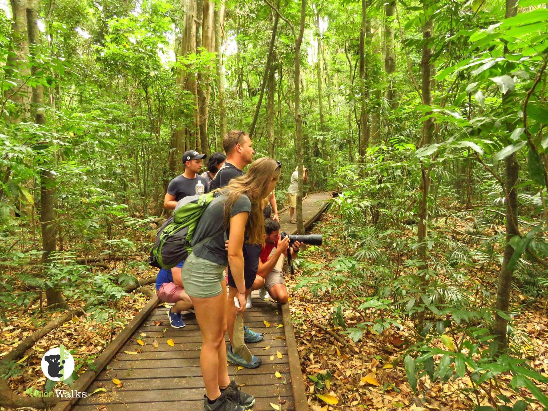 Vision Walks - Eco Tours, Byron Bay, New South Wales, photo 2