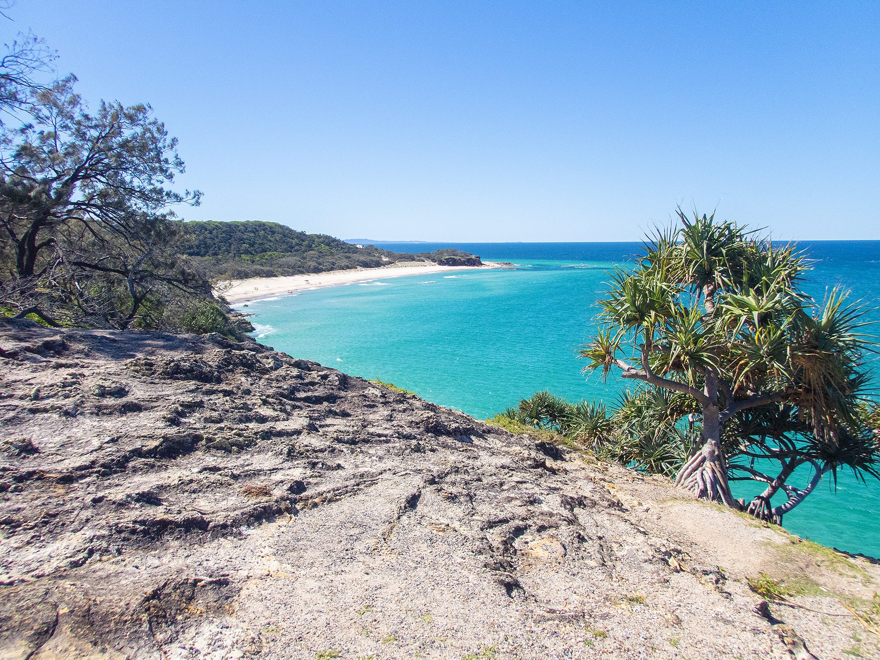 Brisbane Nature Tours, Brighton, Queensland, photo 3