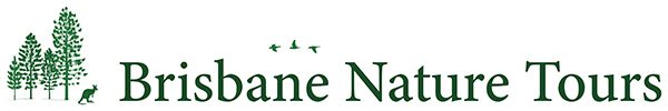 Brisbane Nature Tours, Brighton, Queensland