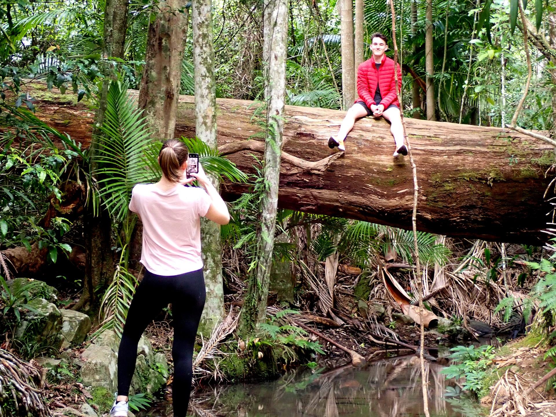 Brisbane Nature Tours, Brighton, Queensland, photo 6