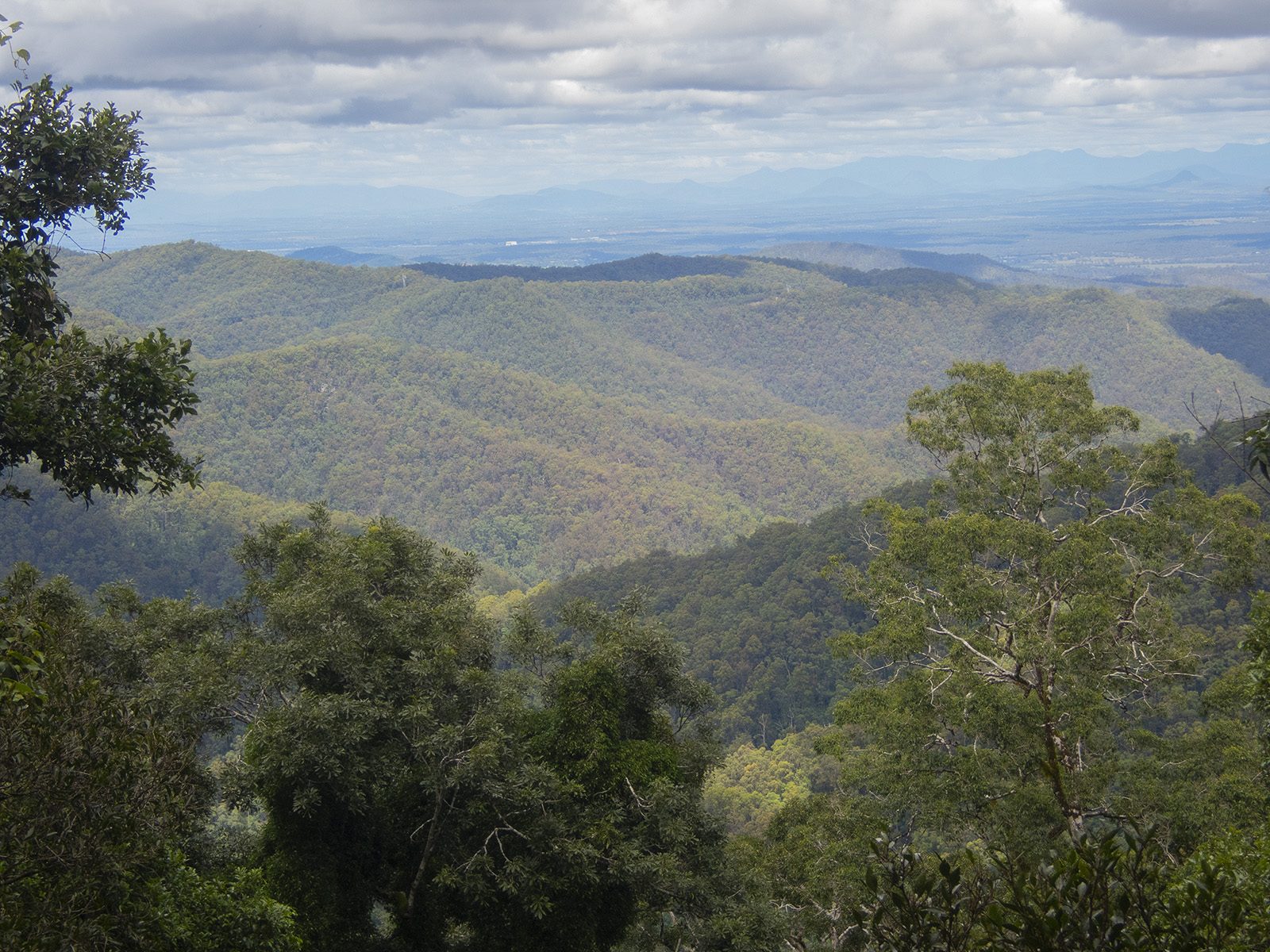 Brisbane Nature Tours