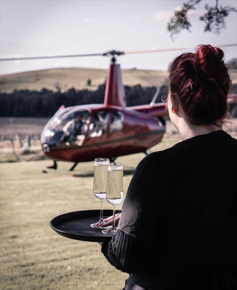 McLeish Estate Wines, Pokolbin, New South Wales, photo 6