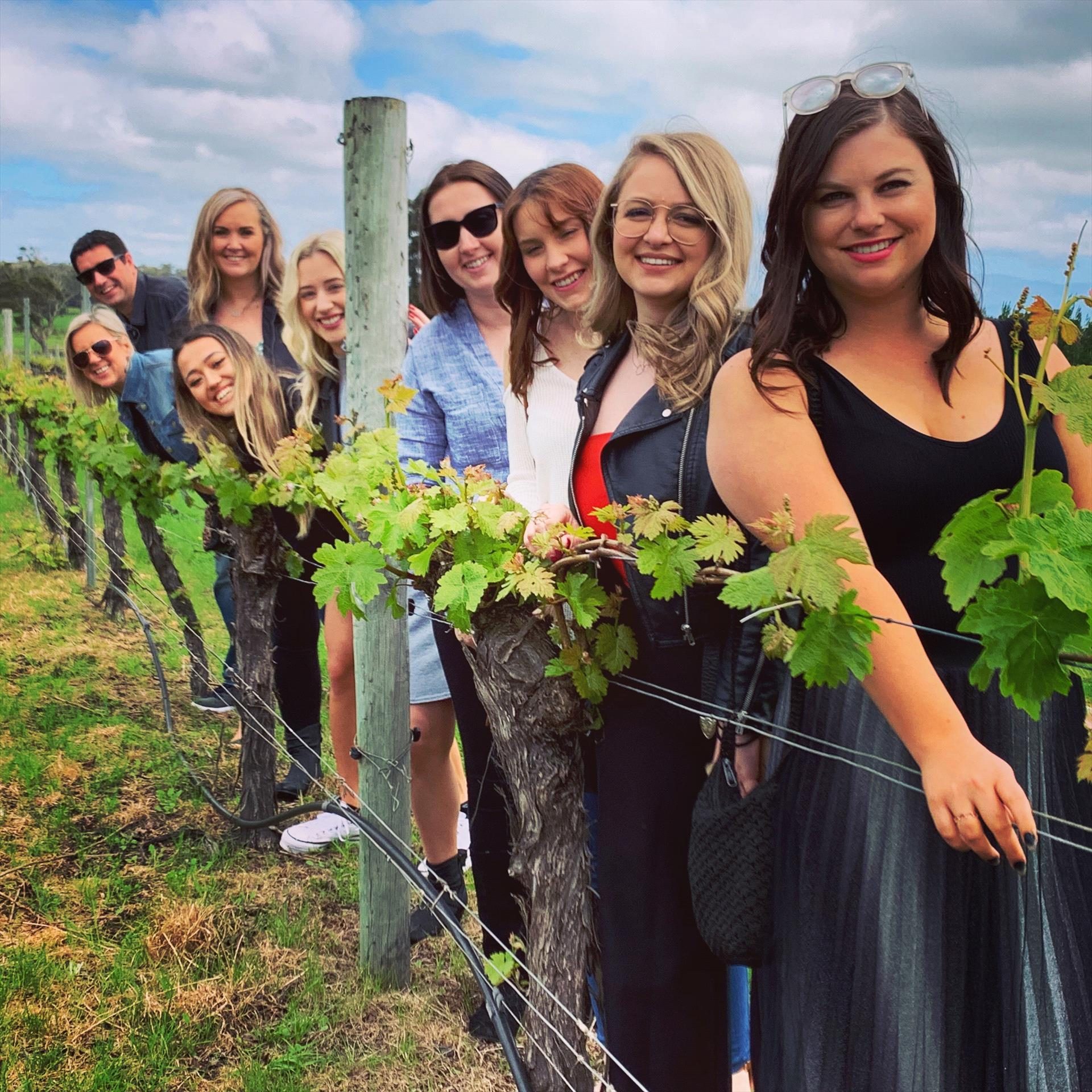 Cheers Winery & Scenic Tours, Margaret River, Western Australia, photo 2