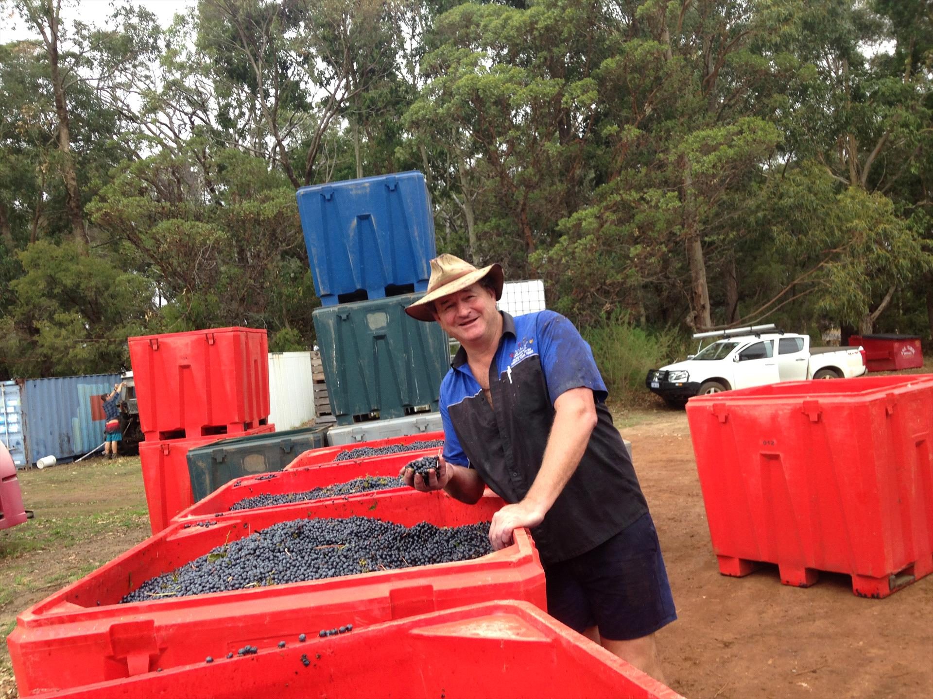 Cheers Winery & Scenic Tours, Margaret River, Western Australia, photo 4
