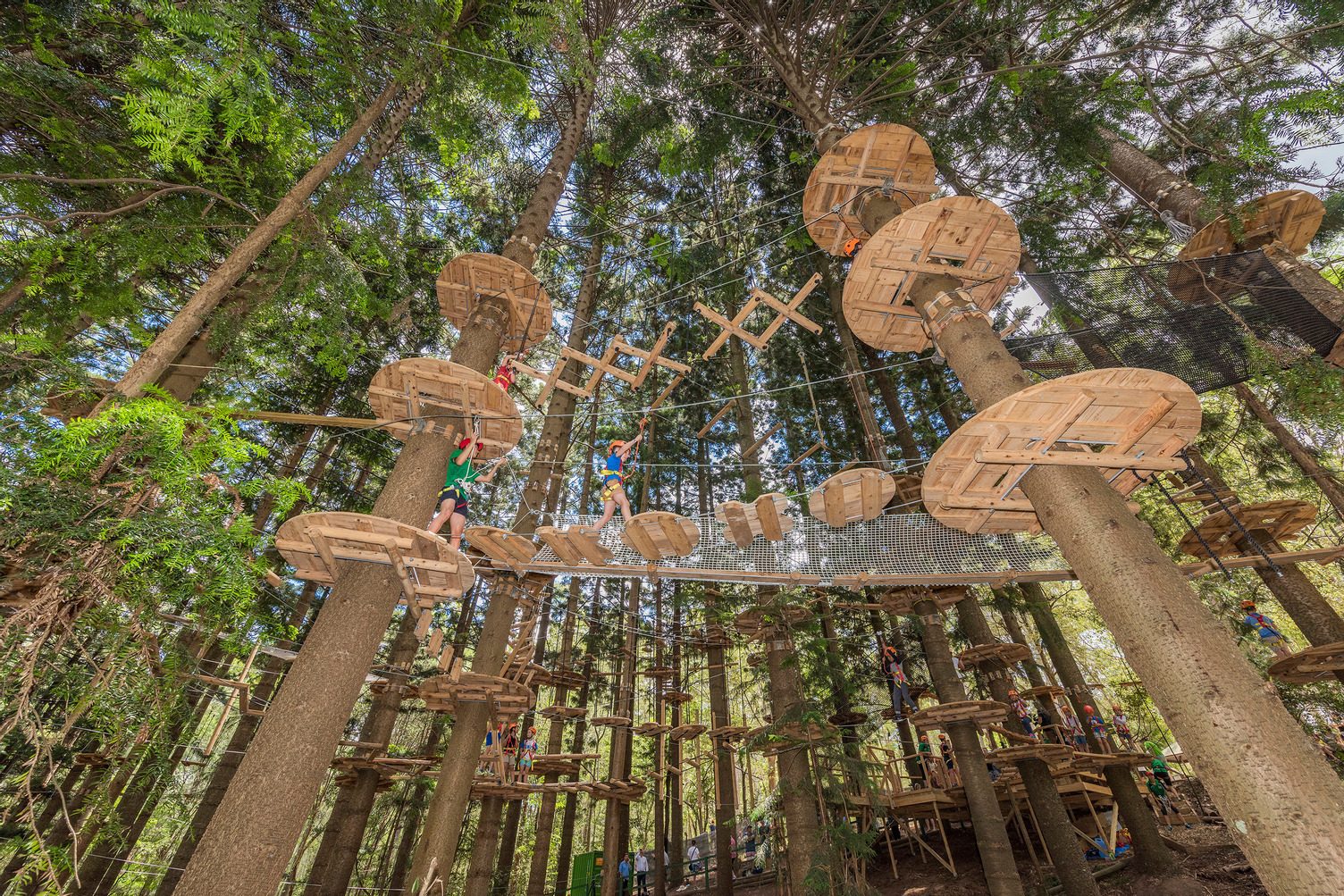 Treetops Adventure Canberra, Majura, Australian Capital Territory, photo 4