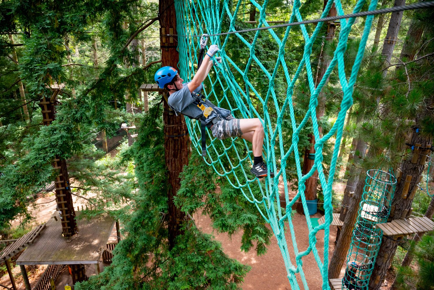Treetops Adventure Canberra