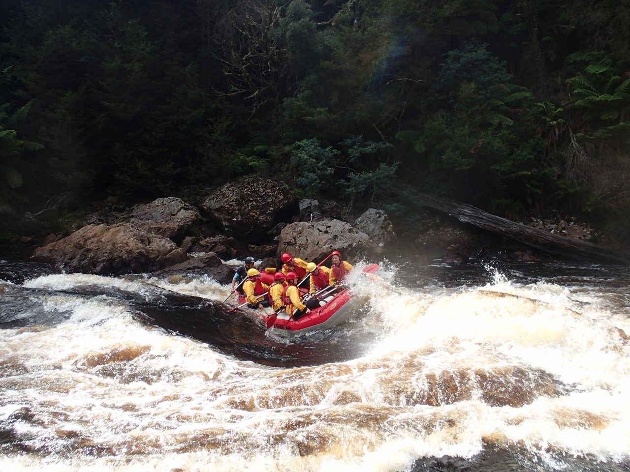 King River Rafting, Sandy Bay, Tasmania