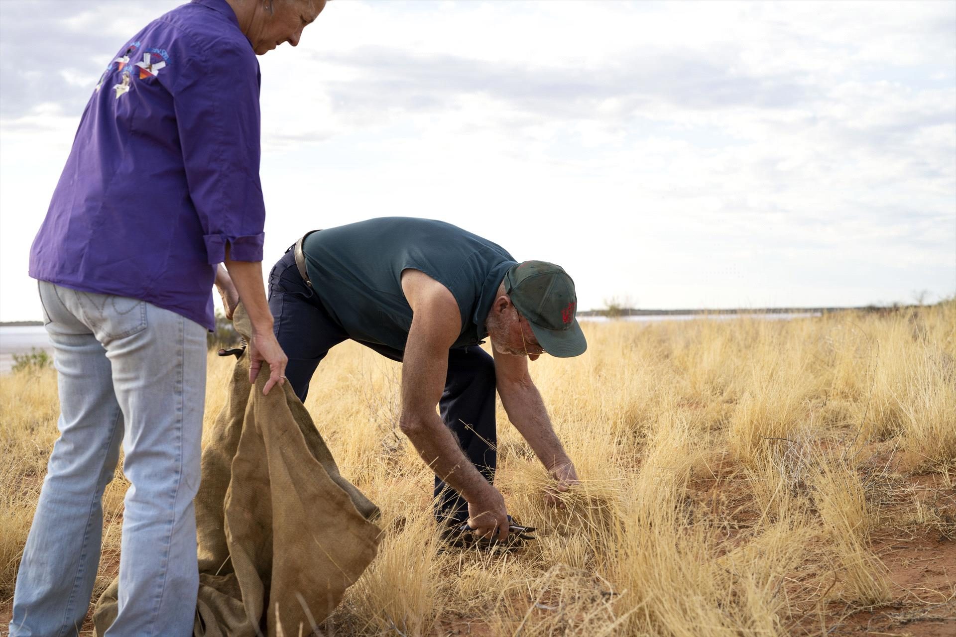 Curtin Springs Paper Tours, South of Alice Springs, Northern Territory, photo 5