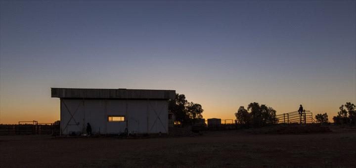 Curtin Springs Paper Tours