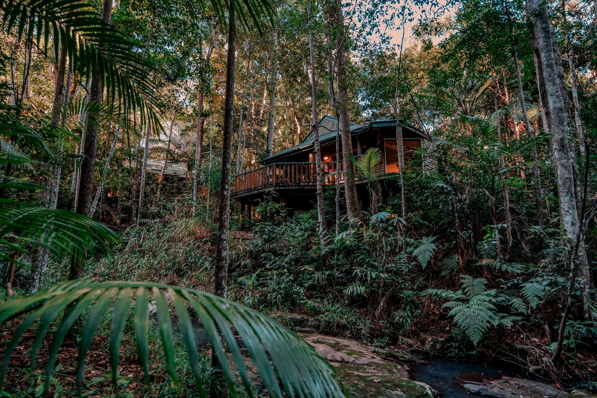 Narrows Escape Rainforest Retreat — Montville, QLD