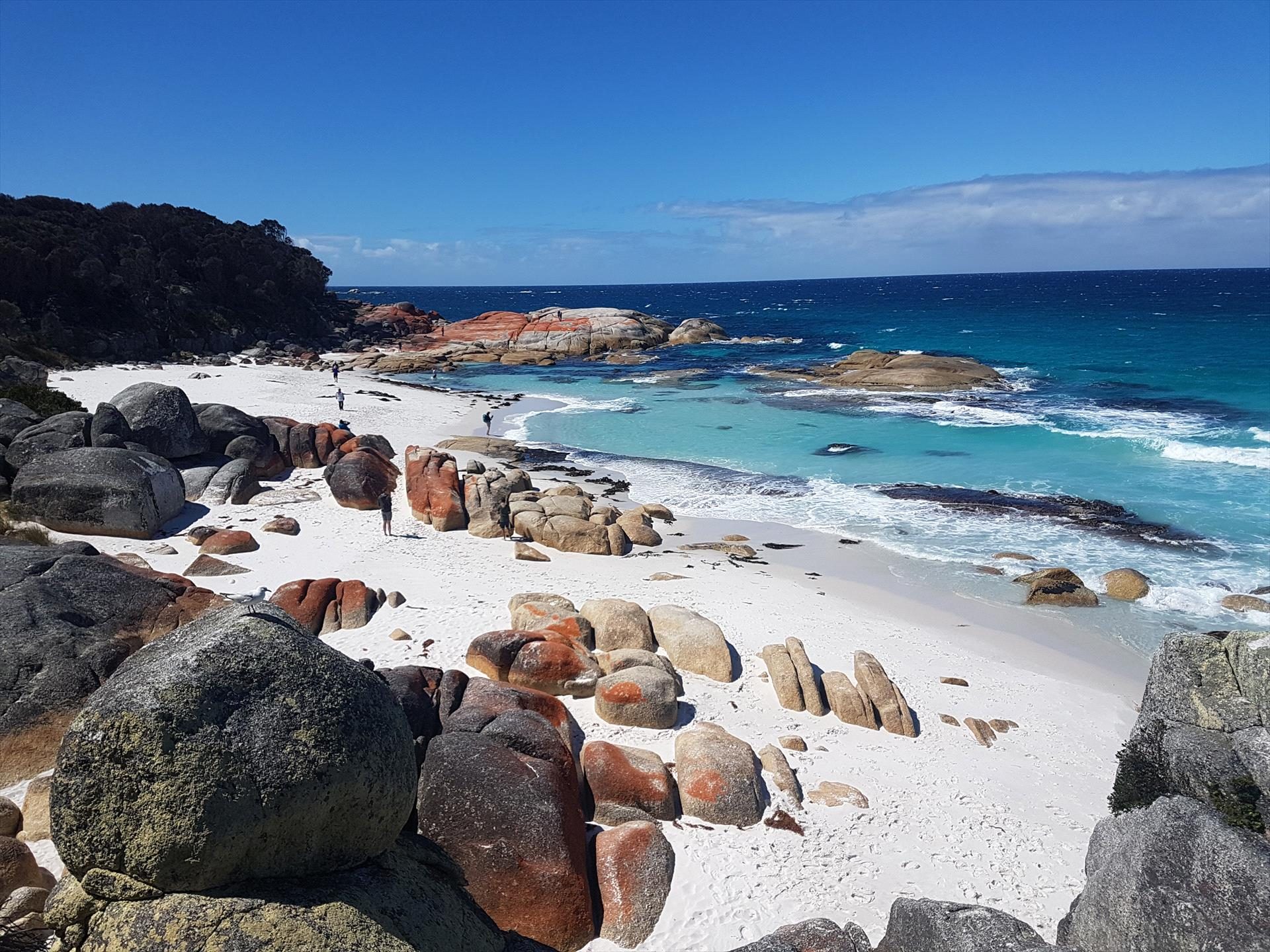 Wild Tasmania Tours in Hobart, TAS — photo 2