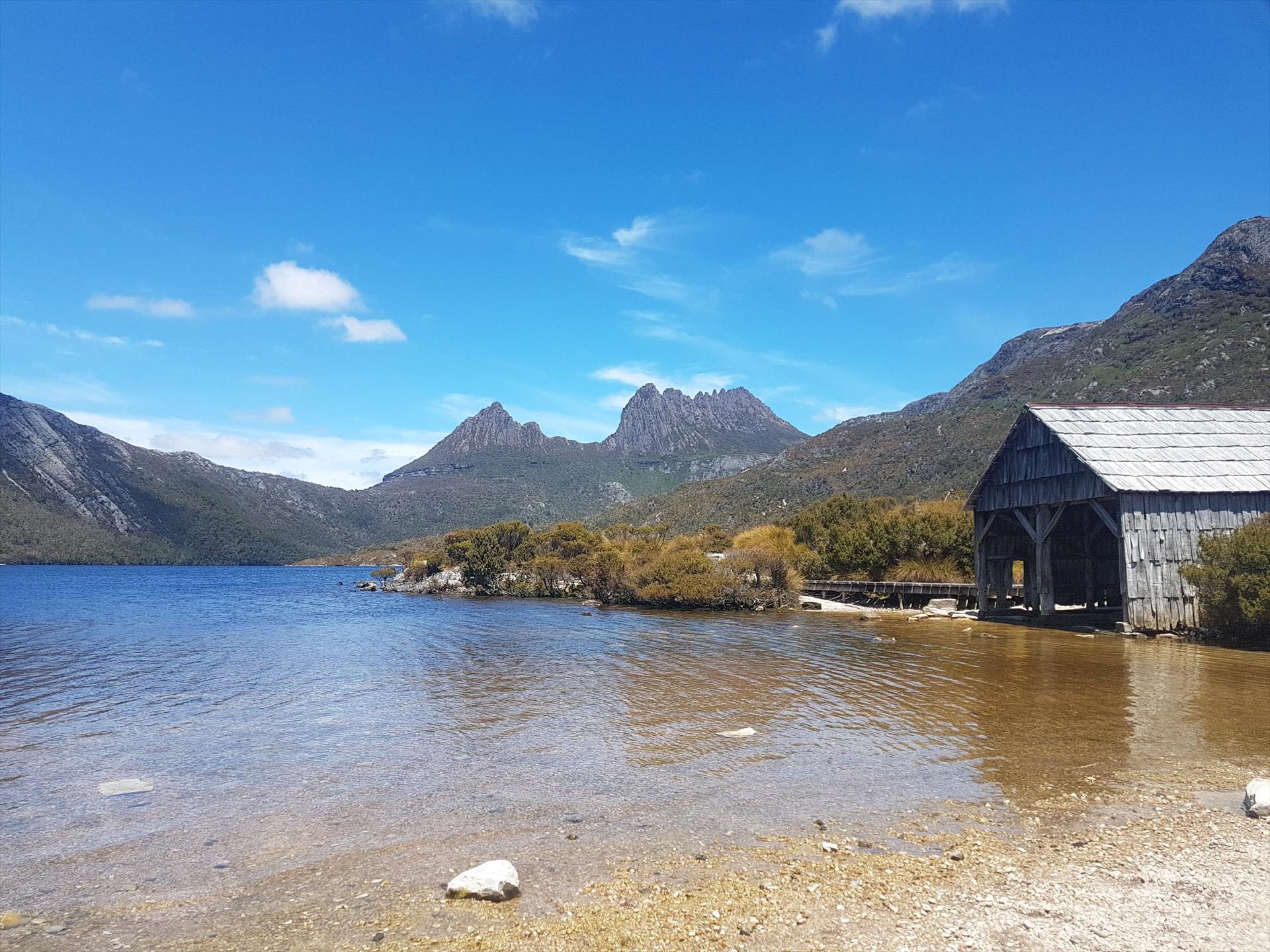 Wild Tasmania Tours in Hobart, TAS — photo 4