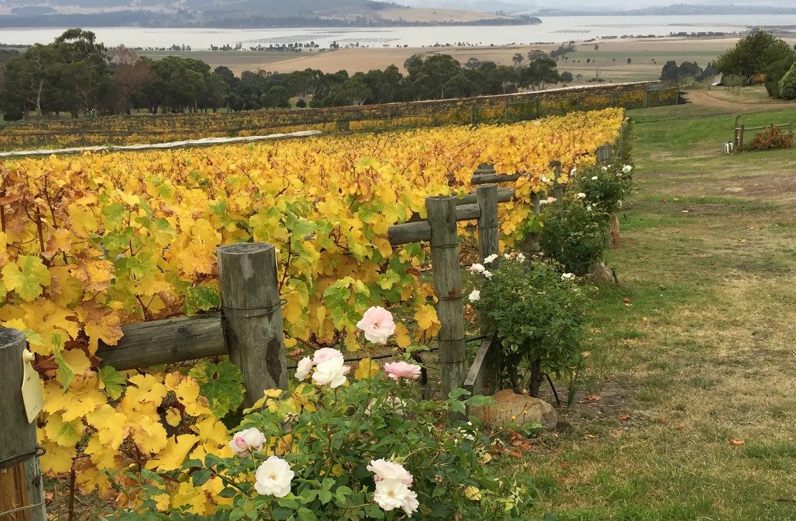 Boutique Wine Tours Tasmania