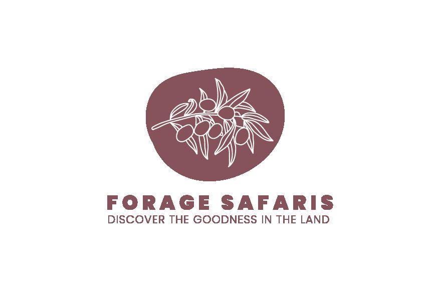 Forage Safaris, Busselton, Western Australia
