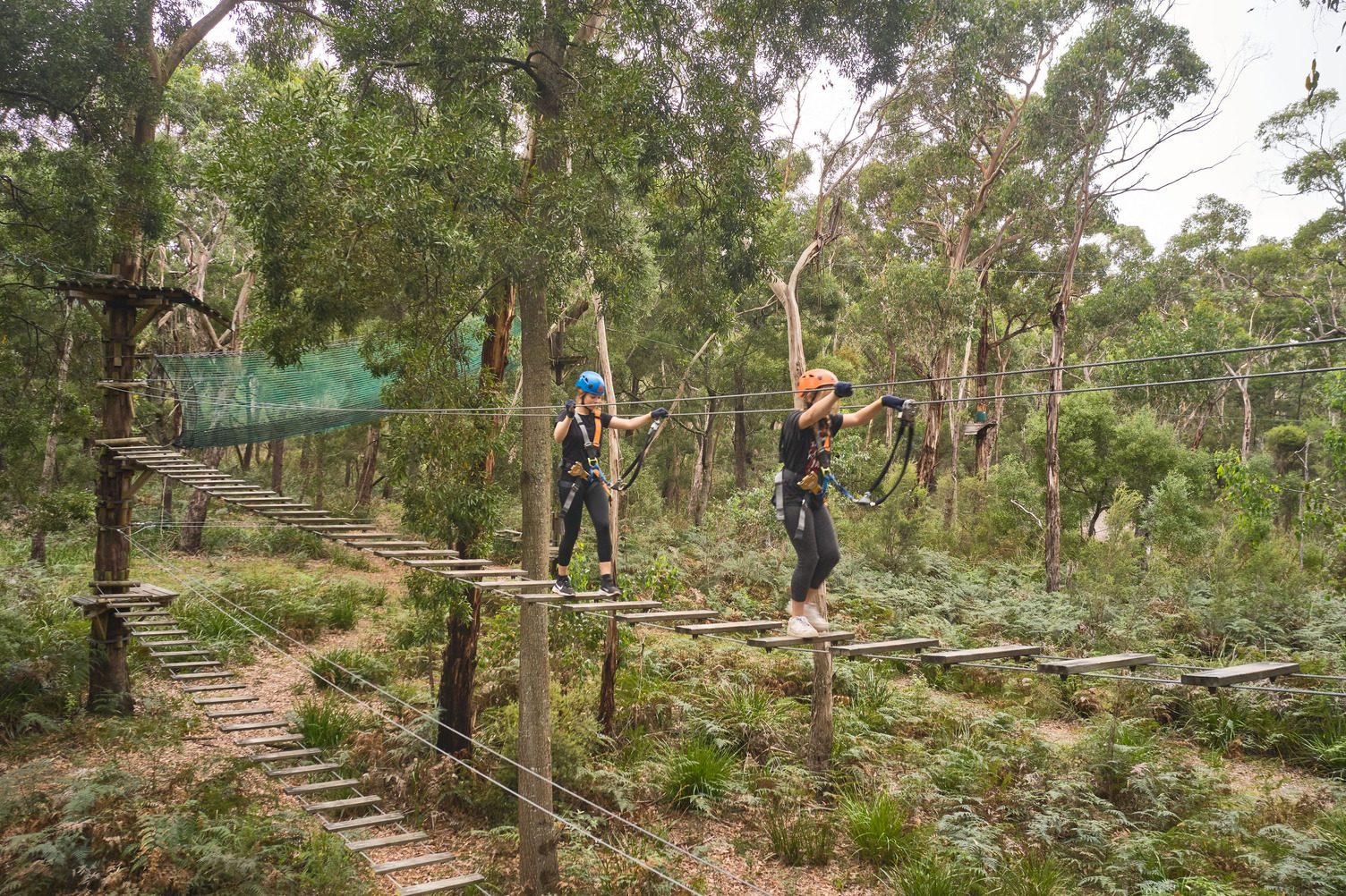 Treetops Adventure Yeodene, Yeodene, Victoria, photo 4