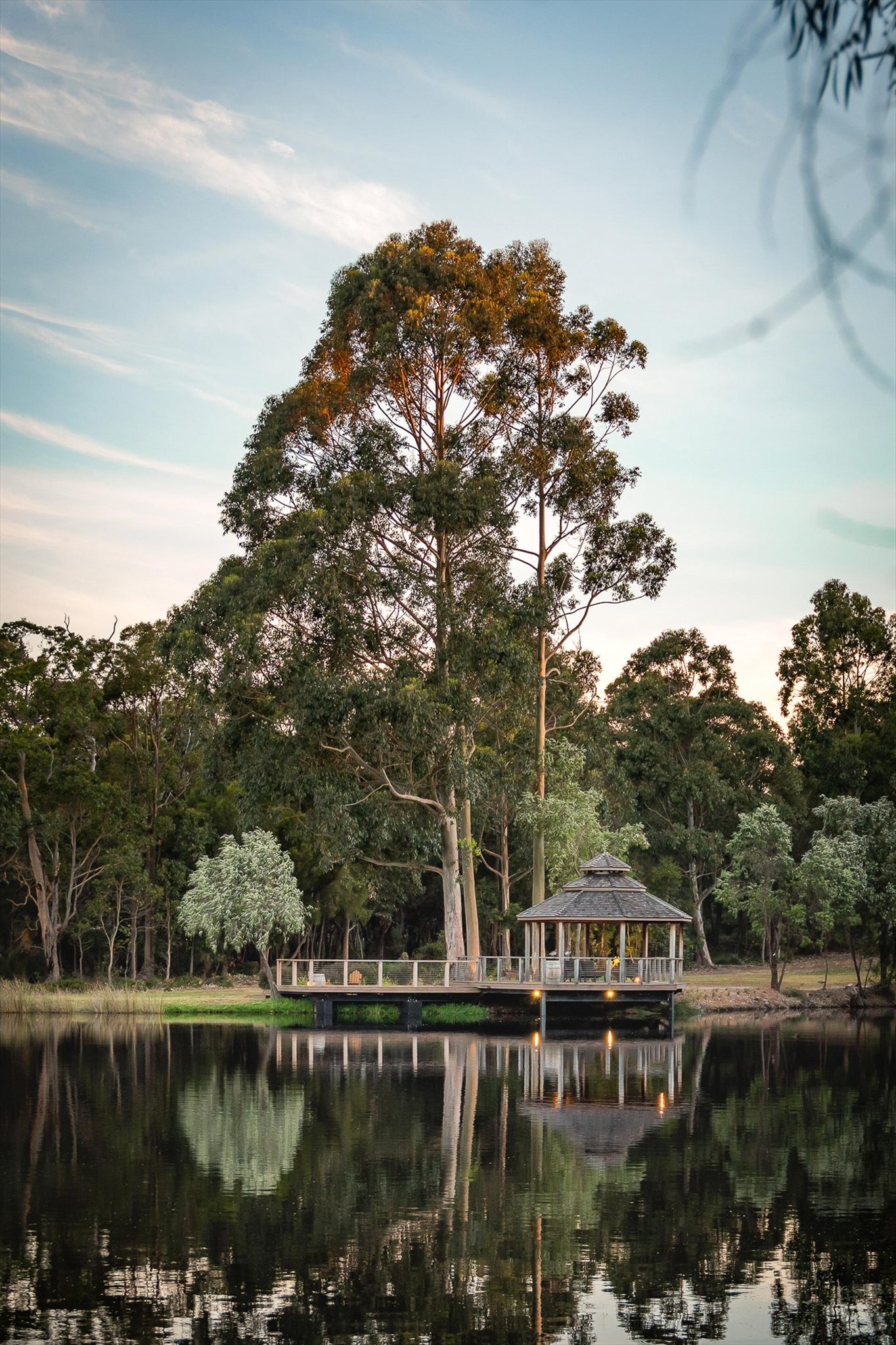 Forest Rise — Yelverton, WA