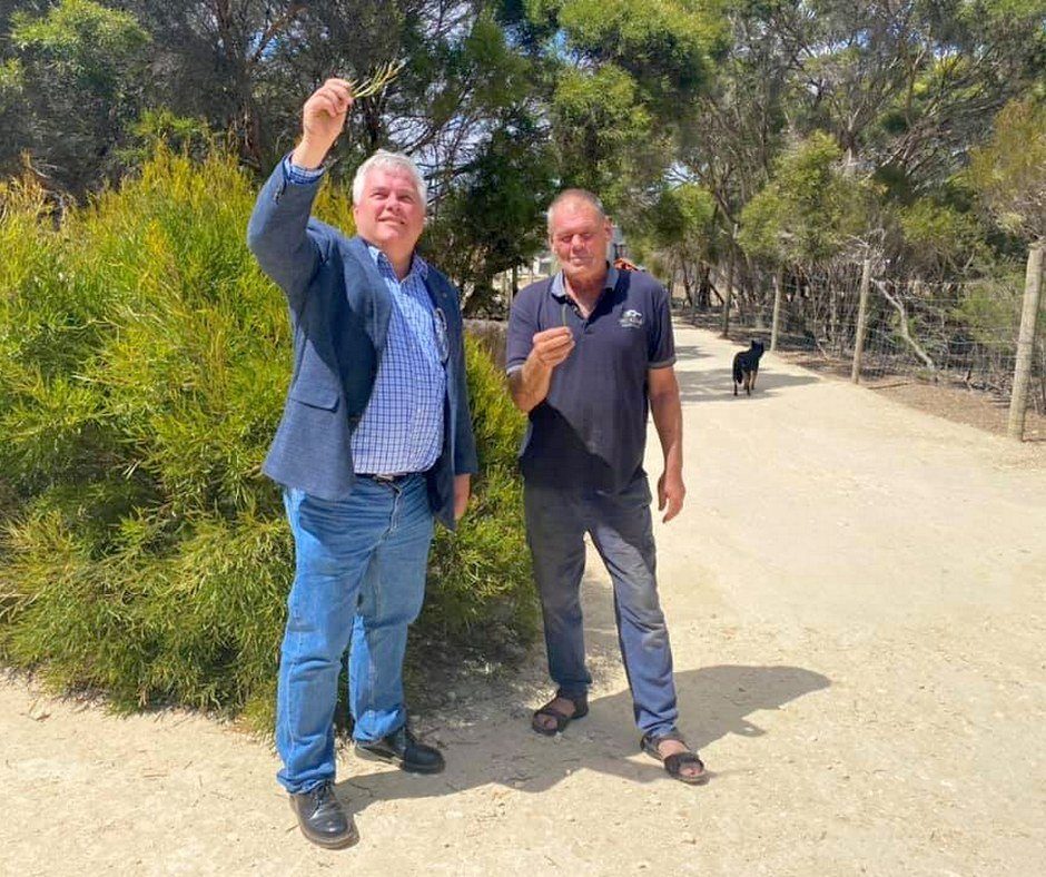 Emu Ridge Eucalyptus Distillery