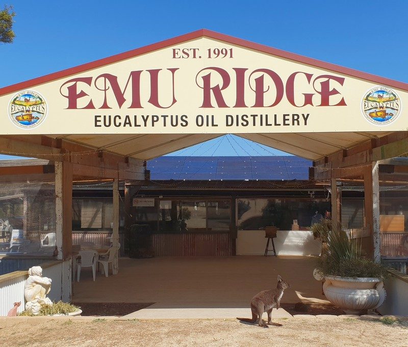 Emu Ridge Eucalyptus Distillery, Macgillivray, South Australia, photo 2