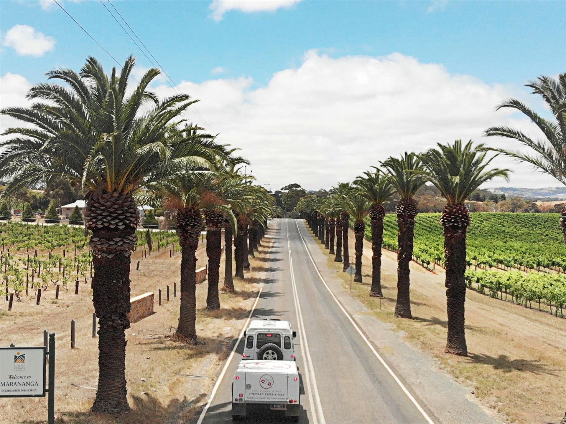 Two Hands Wines, Marananga, South Australia, photo 6