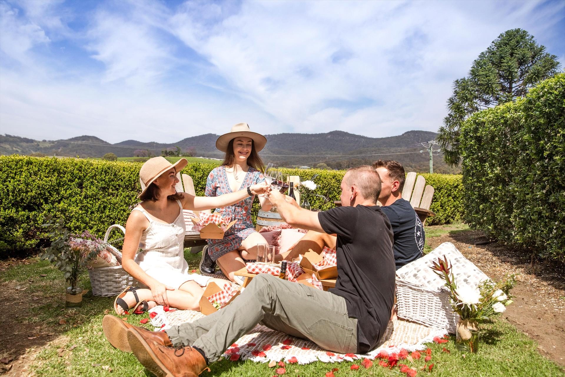 Audrey Wilkinson Vineyard, Pokolbin, New South Wales, photo 6