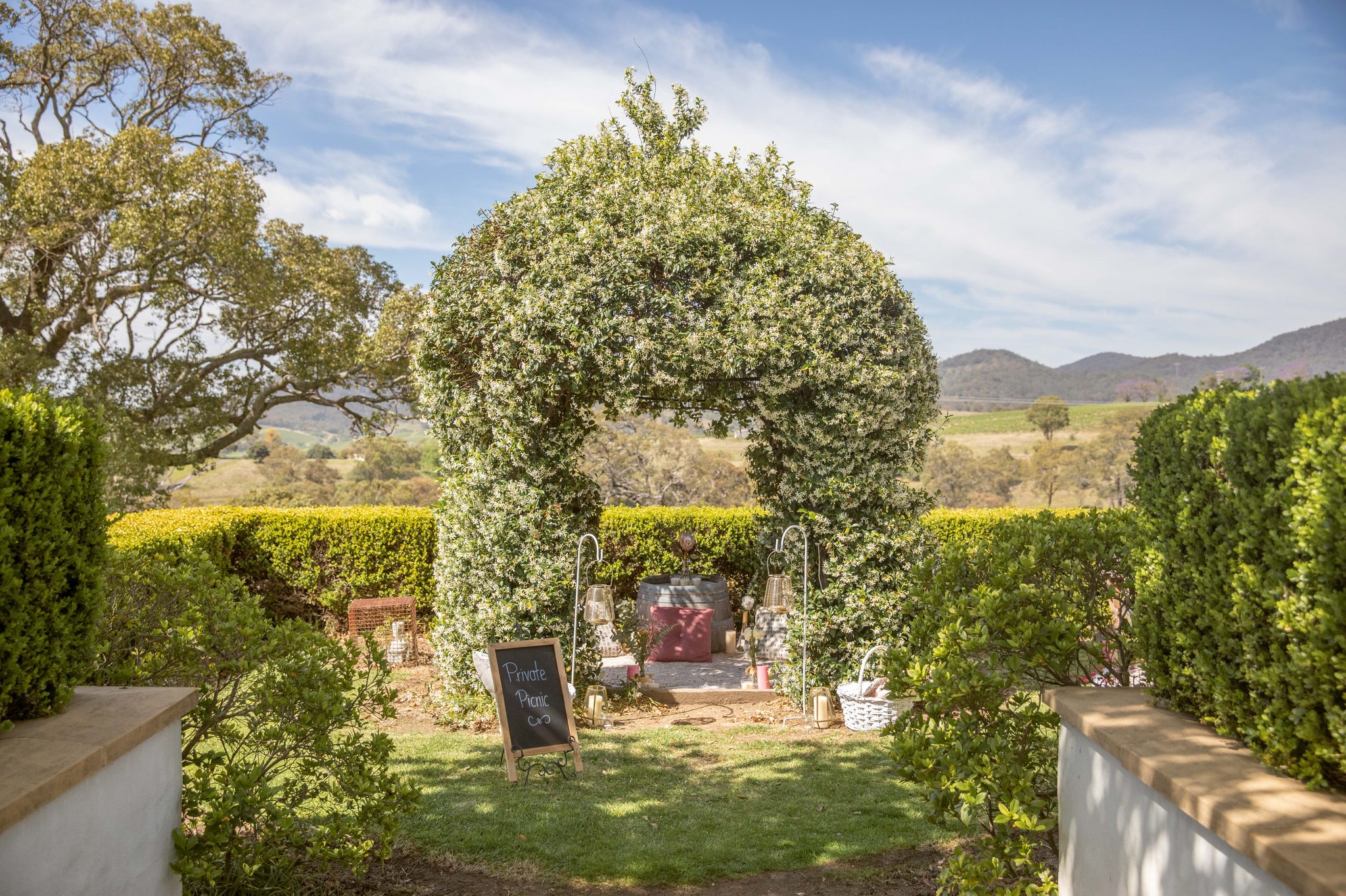 Audrey Wilkinson Vineyard